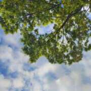 ヒメ日記 2026/04/13 07:41 投稿 まひる 熟女の風俗最終章 本厚木店