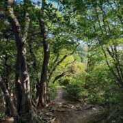 ヒメ日記 2026/04/19 09:11 投稿 まひる 熟女の風俗最終章 本厚木店