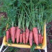 ヒメ日記 2026/04/27 12:31 投稿 まひる 熟女の風俗最終章 本厚木店