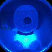 ヒメ日記 2026/02/19 01:30 投稿 恋羽【こはね】 Club Lumine(中津)