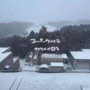 ヒメ日記 2026/02/19 02:00 投稿 恋羽【こはね】 Club Lumine(中津)