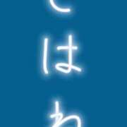 ヒメ日記 2026/06/17 21:02 投稿 恋羽【こはね】 Club Lumine(中津)