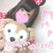 ヒメ日記 2026/01/22 15:25 投稿 うさぎ PREMIUMー萌ー