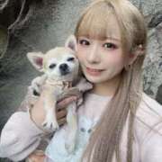 ヒメ日記 2026/01/26 16:35 投稿 うさぎ PREMIUMー萌ー