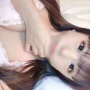 ヒメ日記 2026/01/29 14:05 投稿 うさぎ PREMIUMー萌ー