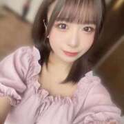 ヒメ日記 2026/02/08 11:05 投稿 うさぎ PREMIUMー萌ー