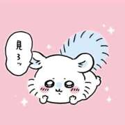 ヒメ日記 2026/02/16 18:35 投稿 うさぎ PREMIUMー萌ー