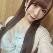 ヒメ日記 2026/02/24 16:45 投稿 うさぎ PREMIUMー萌ー