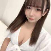 ヒメ日記 2026/02/25 13:05 投稿 うさぎ PREMIUMー萌ー