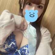 ヒメ日記 2026/03/01 11:05 投稿 うさぎ PREMIUMー萌ー