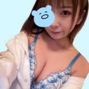 ヒメ日記 2026/03/03 11:05 投稿 うさぎ PREMIUMー萌ー