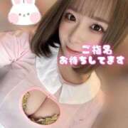 ヒメ日記 2026/03/10 20:05 投稿 うさぎ PREMIUMー萌ー