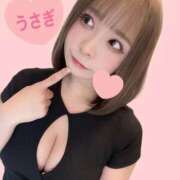 ヒメ日記 2026/03/11 11:05 投稿 うさぎ PREMIUMー萌ー