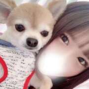 ヒメ日記 2026/03/15 17:16 投稿 うさぎ PREMIUMー萌ー