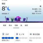 ヒメ日記 2026/03/16 20:05 投稿 うさぎ PREMIUMー萌ー