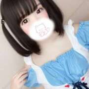 ヒメ日記 2026/07/14 16:05 投稿 うさぎ PREMIUMー萌ー