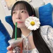 ヒメ日記 2026/07/15 10:45 投稿 うさぎ PREMIUMー萌ー