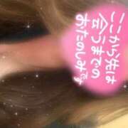 ヒメ日記 2026/01/29 07:31 投稿 結華 丸妻 西船橋店