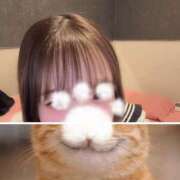 ヒメ日記 2026/04/22 14:06 投稿 まこ 道玄坂クリスタル