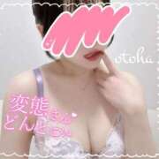 ヒメ日記 2026/02/02 17:19 投稿 おとは 名古屋回春性感マッサージ倶楽部