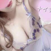 ヒメ日記 2026/03/08 14:56 投稿 あめ 八尾藤井寺羽曳野ちゃんこ