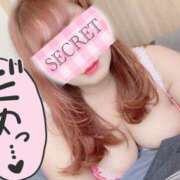 ヒメ日記 2026/03/10 12:49 投稿 あめ 八尾藤井寺羽曳野ちゃんこ