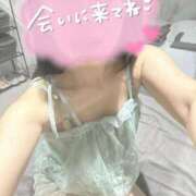 ヒメ日記 2026/03/21 12:17 投稿 のぞみ The White