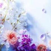 ヒメ日記 2026/03/23 16:52 投稿 しのぶ 梅田アバンチュール