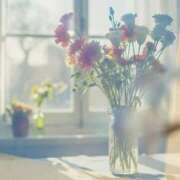 ヒメ日記 2026/03/27 07:42 投稿 しのぶ 梅田アバンチュール