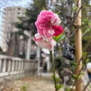 ヒメ日記 2026/03/23 00:25 投稿 りさ 素人アロマエステ東京密着ROOM 渋谷店