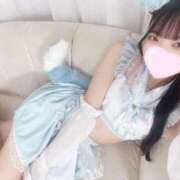 ヒメ日記 2026/01/29 16:02 投稿 すう 東京リップ 池袋店