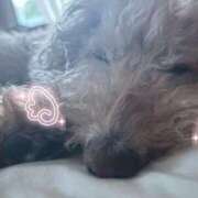 ヒメ日記 2026/03/01 13:47 投稿 すう 東京リップ 池袋店