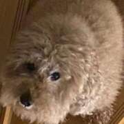 ヒメ日記 2026/04/05 14:31 投稿 すう 東京リップ 池袋店