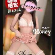 ハニー こんばんは💞 セクシー(長崎)