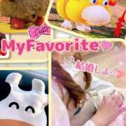 ヒメ日記 2026/01/24 10:53 投稿 菜乃花(なのは) 可憐な妻たち 高崎店