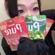 ヒメ日記 2026/02/02 12:00 投稿 べる 石川金沢ちゃんこ