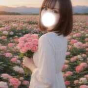 ヒメ日記 2026/04/11 00:32 投稿 みみ　洗練された美しさを持つ美女 ROYAL FACE