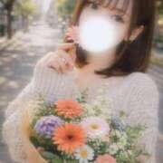 ヒメ日記 2026/04/22 16:12 投稿 みみ　洗練された美しさを持つ美女 ROYAL FACE