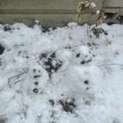 ヒメ日記 2026/02/10 11:32 投稿 ひなた 出会い系人妻ネットワーク さいたま～大宮編