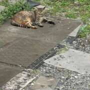 ヒメ日記 2026/03/31 14:44 投稿 ひなた 出会い系人妻ネットワーク さいたま～大宮編