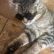 ヒメ日記 2026/04/07 15:42 投稿 ひなた 出会い系人妻ネットワーク さいたま～大宮編