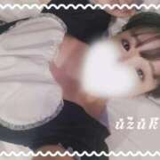 ヒメ日記 2026/02/12 15:15 投稿 うづき 多恋人倶楽部（山口）