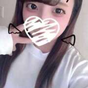 ヒメ日記 2026/04/12 14:15 投稿 こゆき 久喜鷲宮ちゃんこ