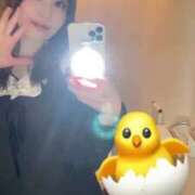 ヒメ日記 2026/02/01 23:34 投稿 成瀬　はるか 現役OL派遣します