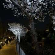 ヒメ日記 2026/02/02 22:13 投稿 あすか☆ルックスSSS級美少女 Hills Premier