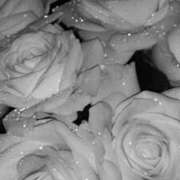 ヒメ日記 2026/02/26 23:50 投稿 あすか☆ルックスSSS級美少女 Hills Premier