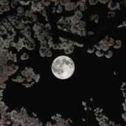 ヒメ日記 2026/03/08 16:13 投稿 あすか☆ルックスSSS級美少女 Hills Premier