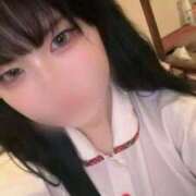 ヒメ日記 2026/01/29 01:45 投稿 しゅな IRIS(岐阜)