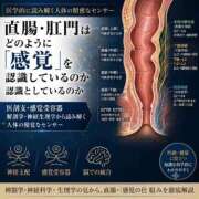ヒメ日記 2026/07/16 23:33 投稿 いずみ 五反田痴女性感フェチ倶楽部