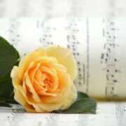 ヒメ日記 2026/02/07 11:00 投稿 藤崎涼香 五十路マダム 岐阜店